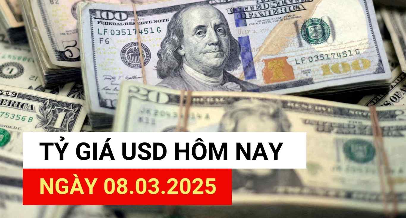 USD exchange rate today 8.3.2025