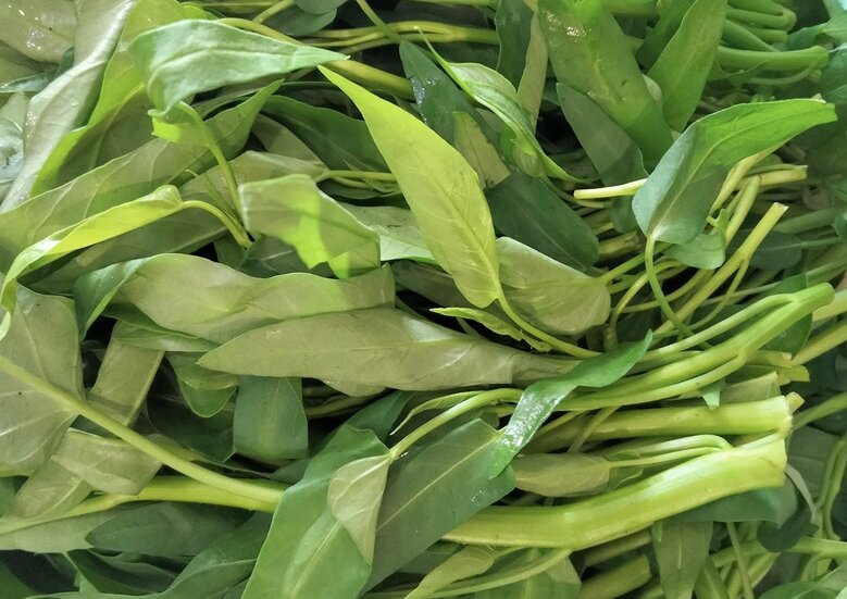 Add water spinach to your diet to help you sleep well. Photo: Kieu Vu