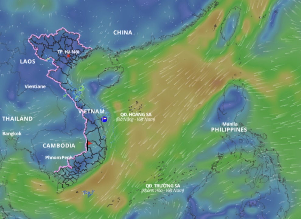 Cold air is forecast to continue to affect the weather in many sea areas of the East Sea. above is an image of the sea wind direction updated at 10:30 on March 8. Photo: Vietnam Disaster Monitoring System
