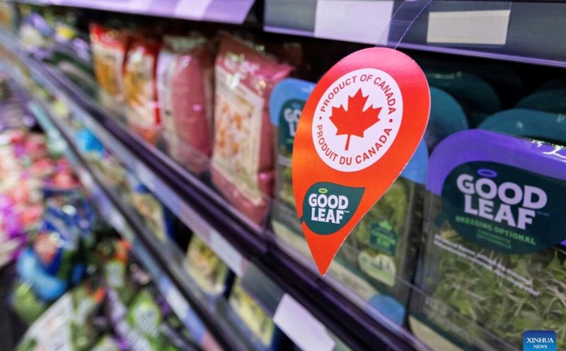 China announced tariffs on some Canadian goods on March 8. Photo: Xinhua