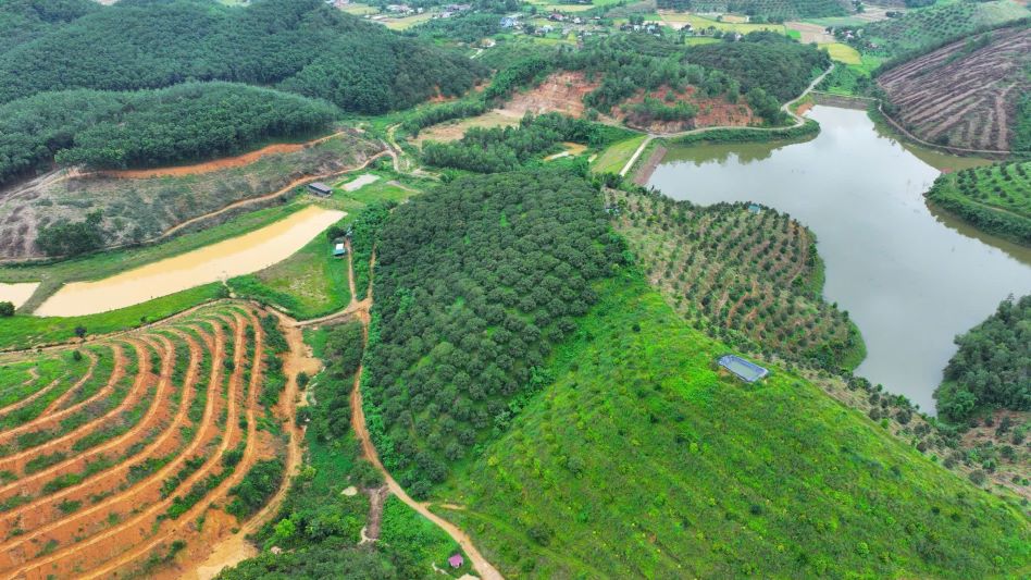 Tỉnh Lâm Đồng kiên quyết thu hồi đất thuộc các dự án vi phạm. Ảnh: Minh An