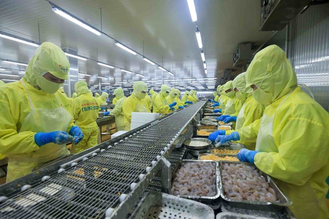 Tighten procedures for granting export food certificates. Illustrative photo: Hai Nguyen