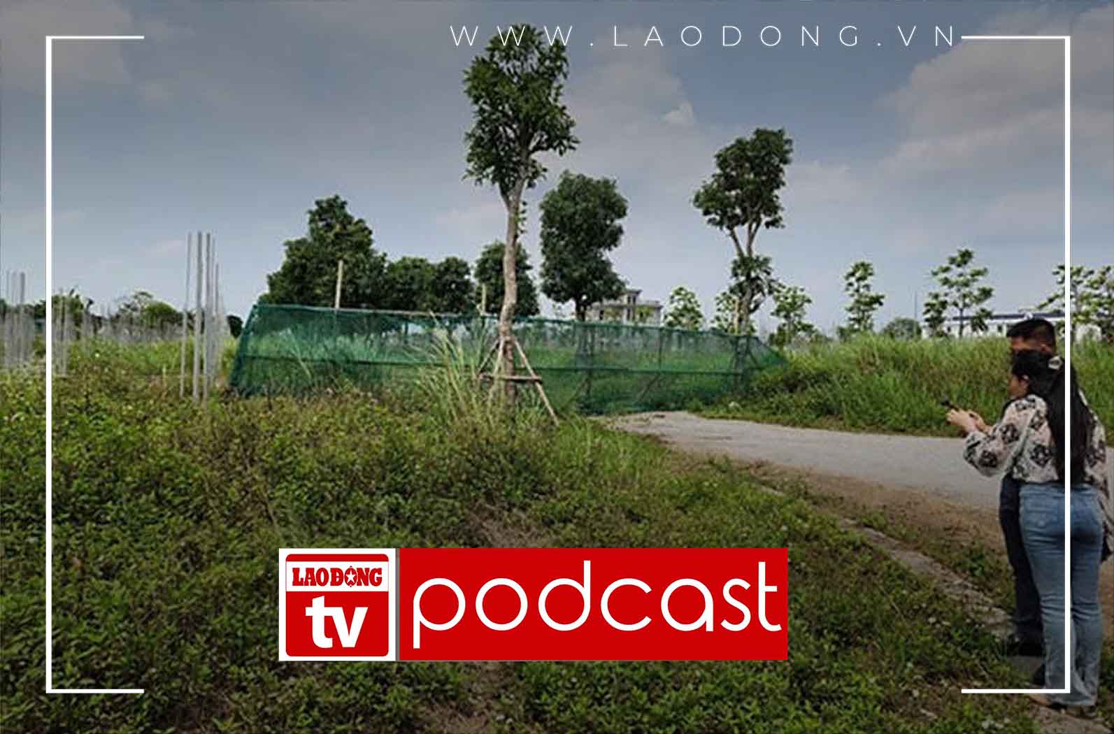 Morning news 9.3: Land investors with red books waiting for price increase