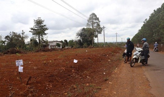 Đất quanh khu công nghiệp bất ngờ tăng cao. Ảnh: Xuân Trường