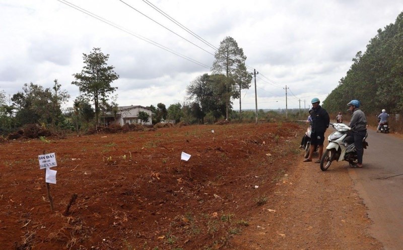 Land around the industrial park suddenly increased. Photo: Xuan Truong