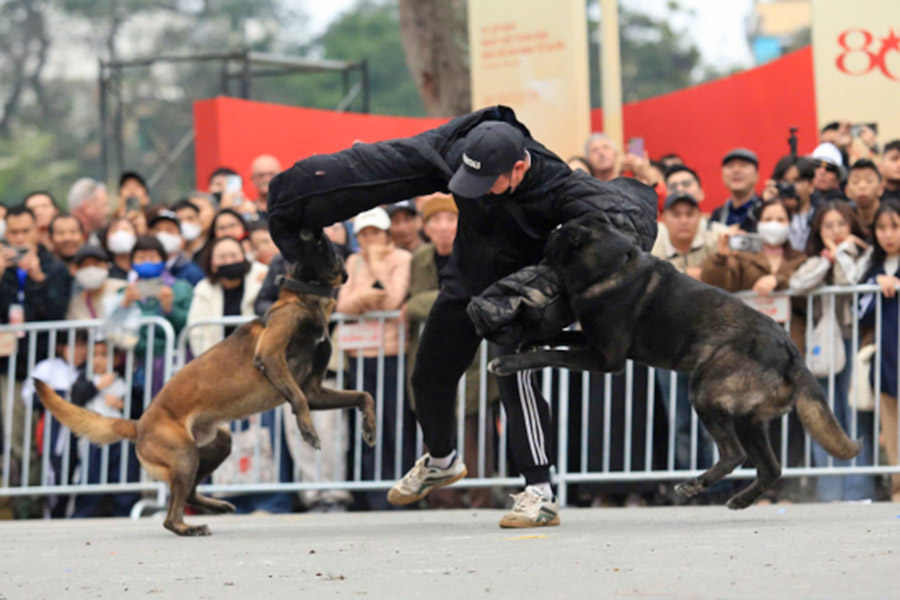 People are proud to see Cavalry and military dogs showing off their strength