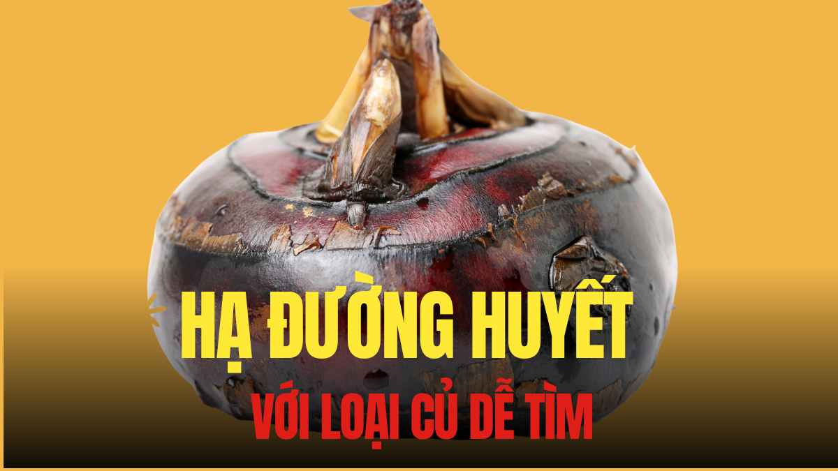 Canary fruit contains antioxidants, including vitamin C and compounds that help reduce oxidative stress in the body. Graphics: Tra My