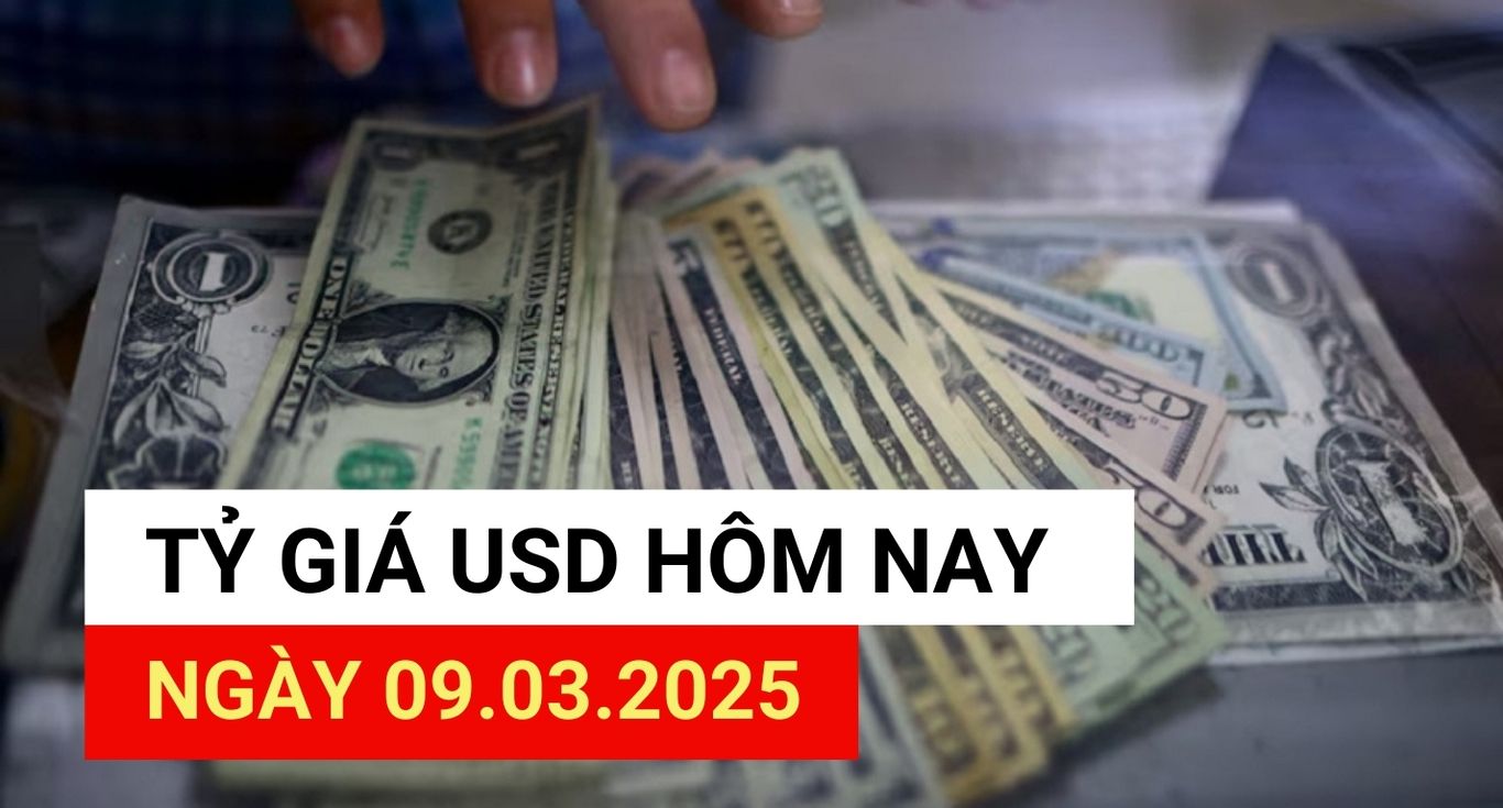 USD exchange rate today 9.3: Reasons for USD plummet