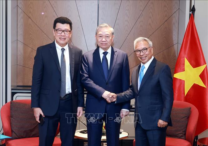 General Secretary To Lam received Mr. Budiarsa Sastrawinata (right), CEO of Ciputra Group of Indonesia. Photo: Thong Nhat/VNA