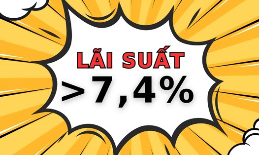 Lãi suất tiết kiệm kỳ hạn 13 tháng trong hệ thống ngân hàng dao động quanh ngưỡng 4,4 - 9%. Đồ họa: Thạch Lam