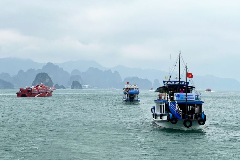 Los barcos de turismo, experimentan los viajes turisticos en la Bahia de Bai Tu Long. Imagen de la pagina web de la Universidad de Hong Kong