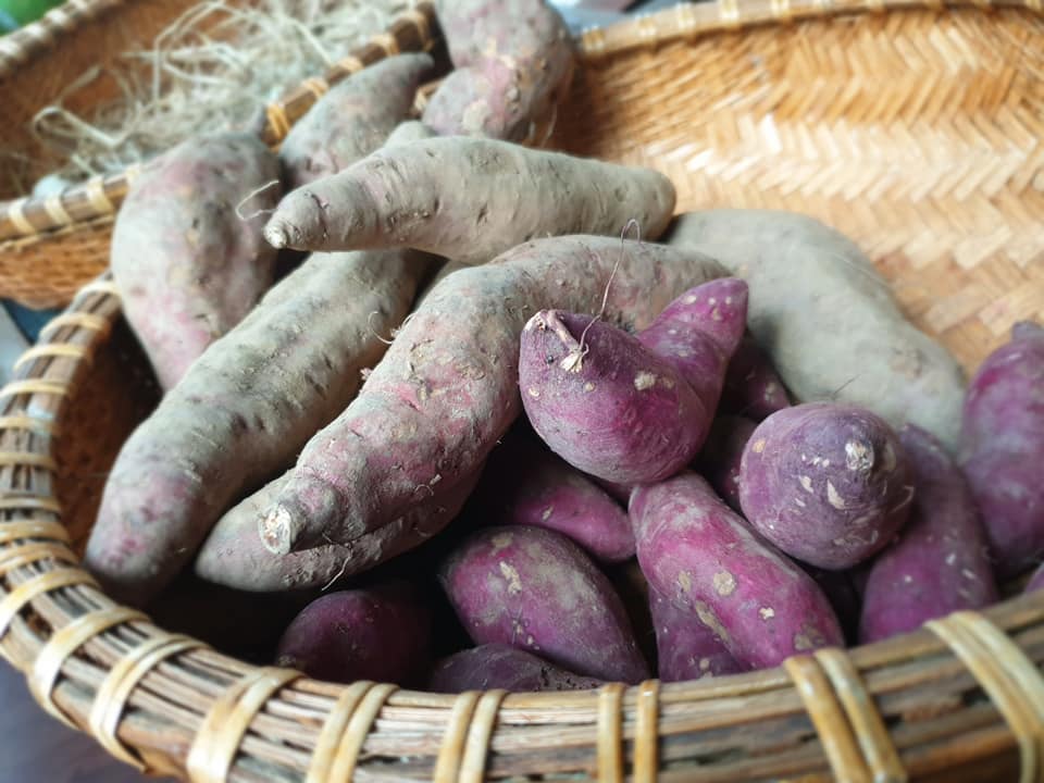 When should you eat sweet potatoes during the day? Photo: Thuy Duong