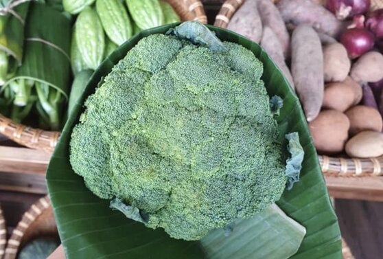 Why should you feed your baby broccoli? Photo: Thuy Duong