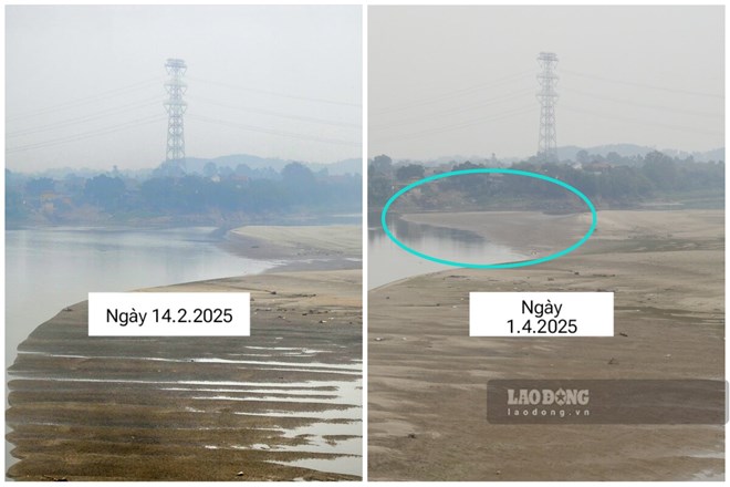 Cùng một góc chụp, có thể thấy, nước sông Hồng đã cạn hơn so với hơn 1 tháng trước, xuất hiện thêm cồn cát mới ở giữa dòng chảy nhỏ hẹp còn lại. Ảnh: Tô Công.