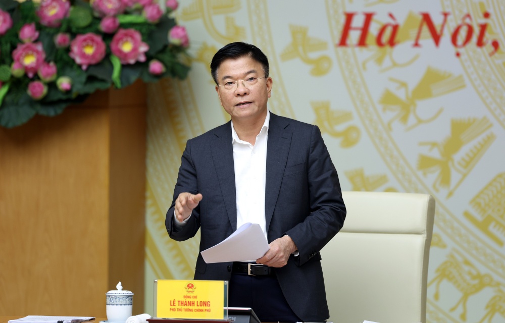 Member of the Party Central Committee, Deputy Prime Minister Le Thanh Long spoke at the meeting. Photo: VGP