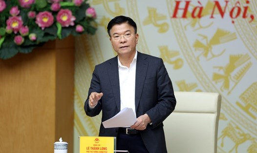 Ủy viên Trung ương Đảng, Phó Thủ tướng Chính phủ Lê Thành Long phát biểu tại phiên họp. Ảnh: VGP