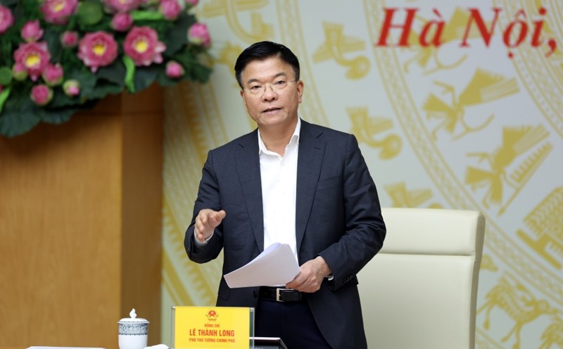 Member of the Party Central Committee, Deputy Prime Minister Le Thanh Long spoke at the meeting. Photo: VGP