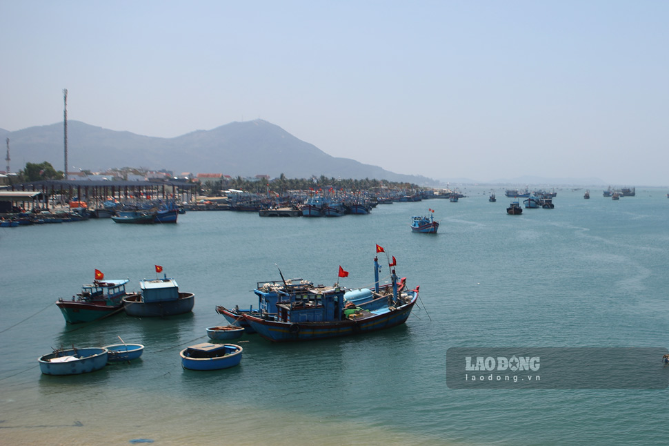 De Gi fishing port (Phu Cat district, Binh Dinh) - where fishermen's boats anchored. Photo: Hoai Luan