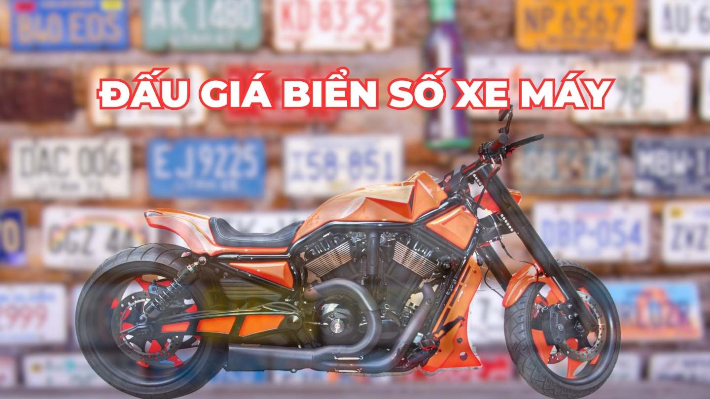 Hay cuatro placas de la casa de la ciudad en la subasta