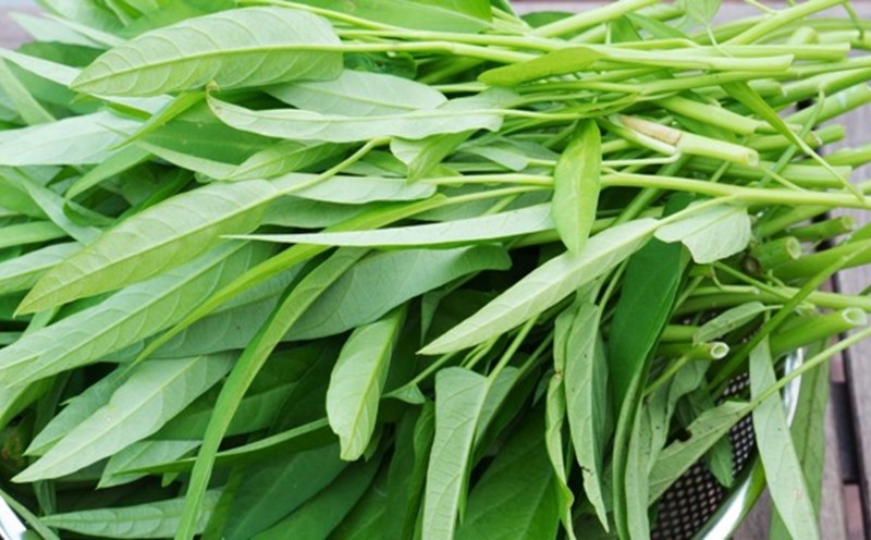Water spinach, if grown in a polluted environment, will absorb toxins. Photo: HUENG Son