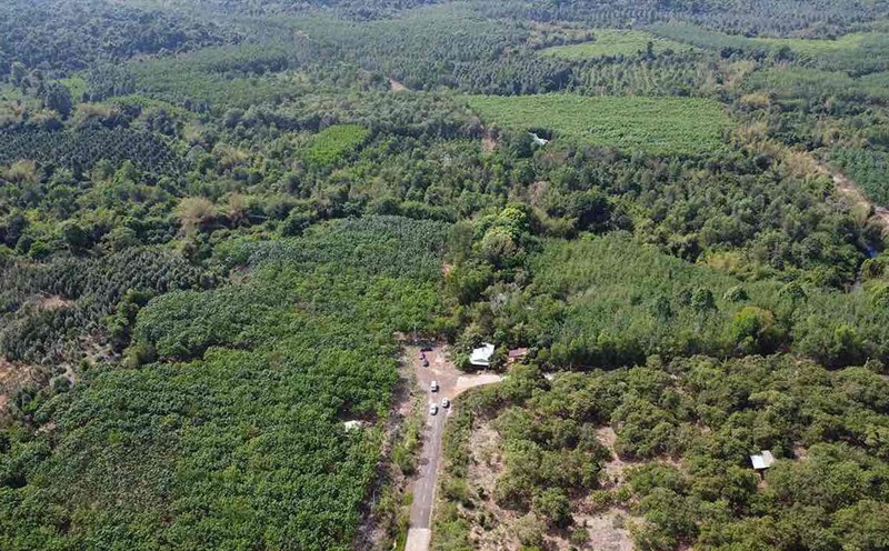 The border area between Binh Phuoc and Dong Nai provinces will implement the construction of Ma Da bridge and the road connecting to Ho Chi Minh City Ring Road 4. Photo: HAC