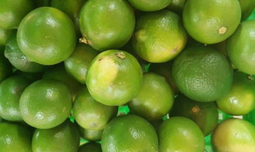 Dù không thể "chống lại" hoàn toàn tác hại của rượu bia, nhưng việc thường xuyên bổ sung các loại trái cây như bưởi, chanh... giúp hỗ trợ chức năng gan. Ảnh: Hạ Mây.