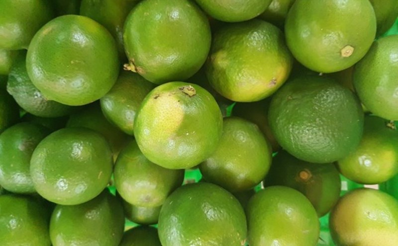 Although it is not possible to completely "resist" the harmful effects of alcohol, regularly supplementing fruits such as grapefruit, lemon... helps support liver function. Photo: Ha May.