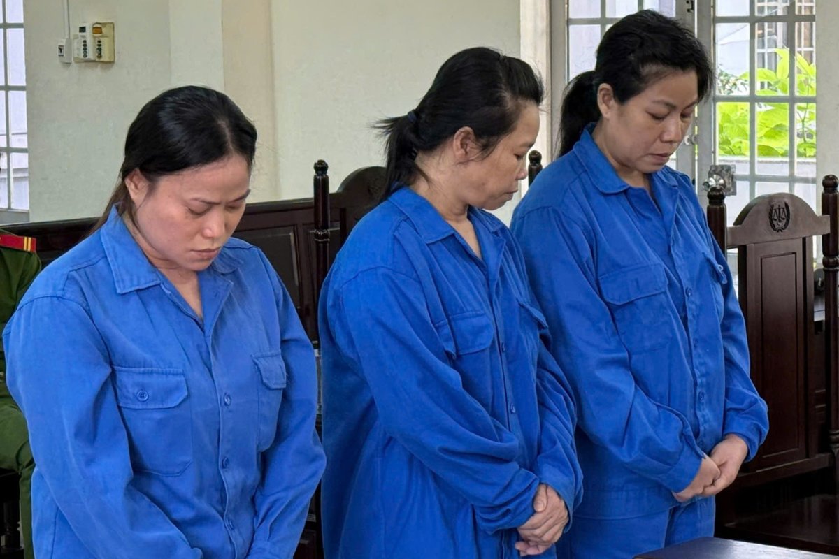 Các bị cáo bị xét xử về hành vi làm sổ đỏ giả để thế chấp vay tiền. Ảnh: Thành An