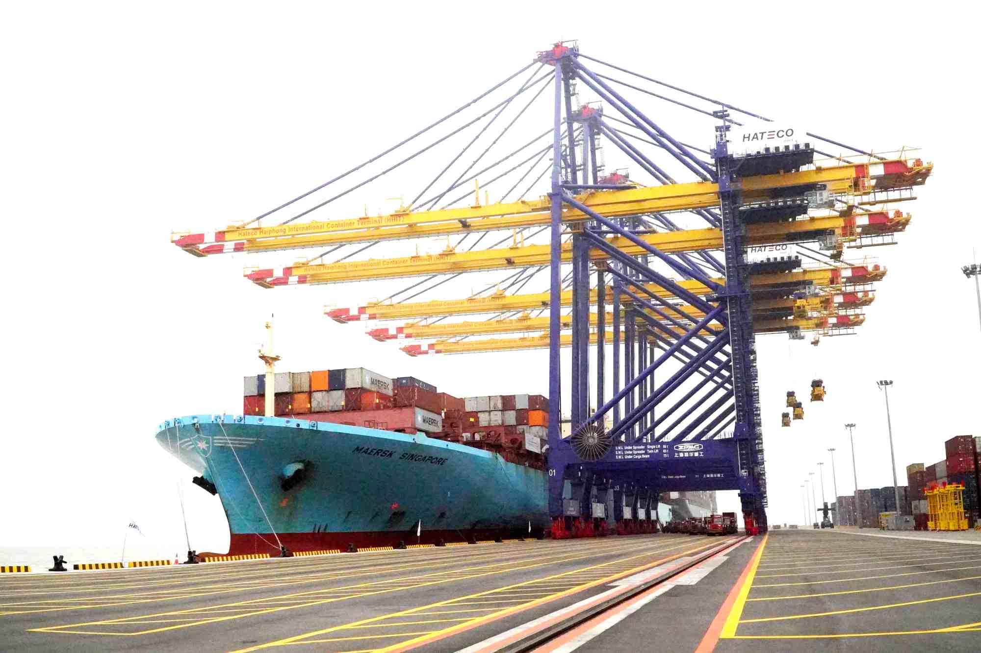 Cang xanh khong chi la yeu cau cua cac hiep dinh thuong mai tu do the he moi, ma con la xu huong tat yeu tu chinh thi truong. Anh: Xuyen Dong