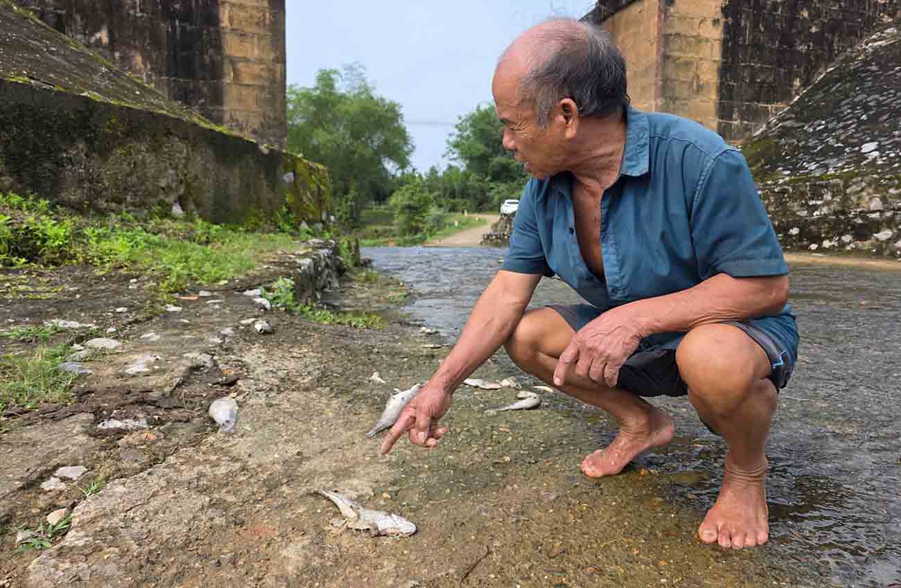Nguoi dan noi ve viec phat hien ca chet bat thuong. Anh: Huong Sinh.