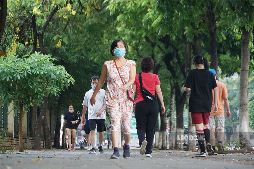 Dar un paseo lento por la mañana con el estomago lleno es una rutina simple pero con beneficios significativos para la salud. Imagen de la arena de los elfos