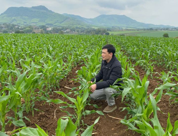 Engineer Duong Xuan Manh on the Mombasa grass field. Photo: Tran Van