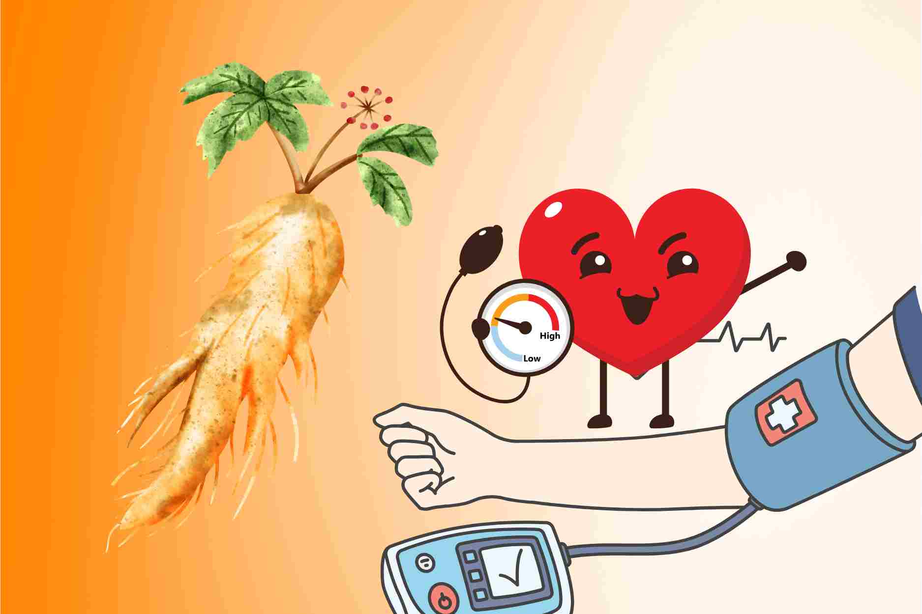 A miraculous root that helps increase blood pressure naturally that few people expect