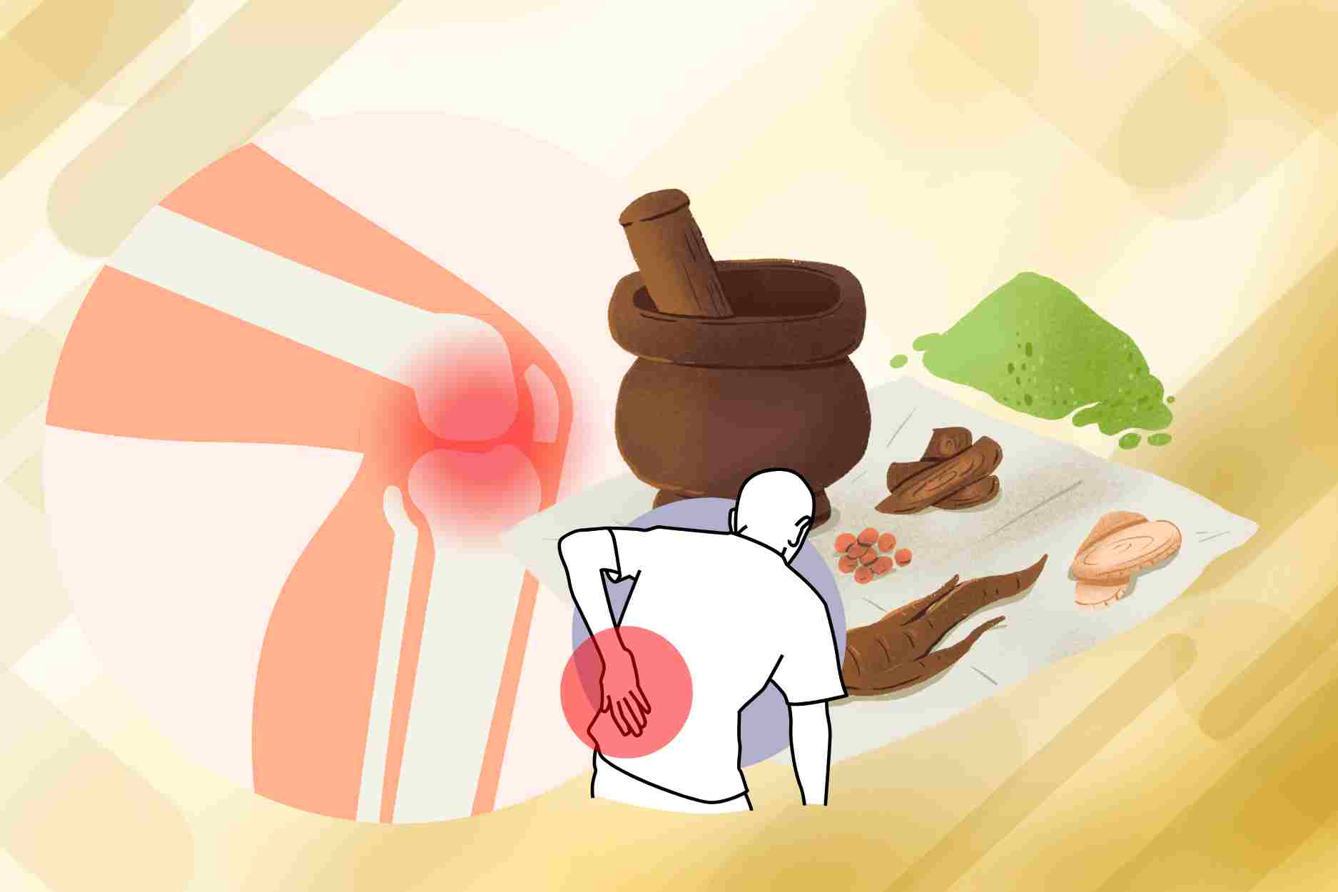 3 traditional medicine "saviors" people with bone and joint pain