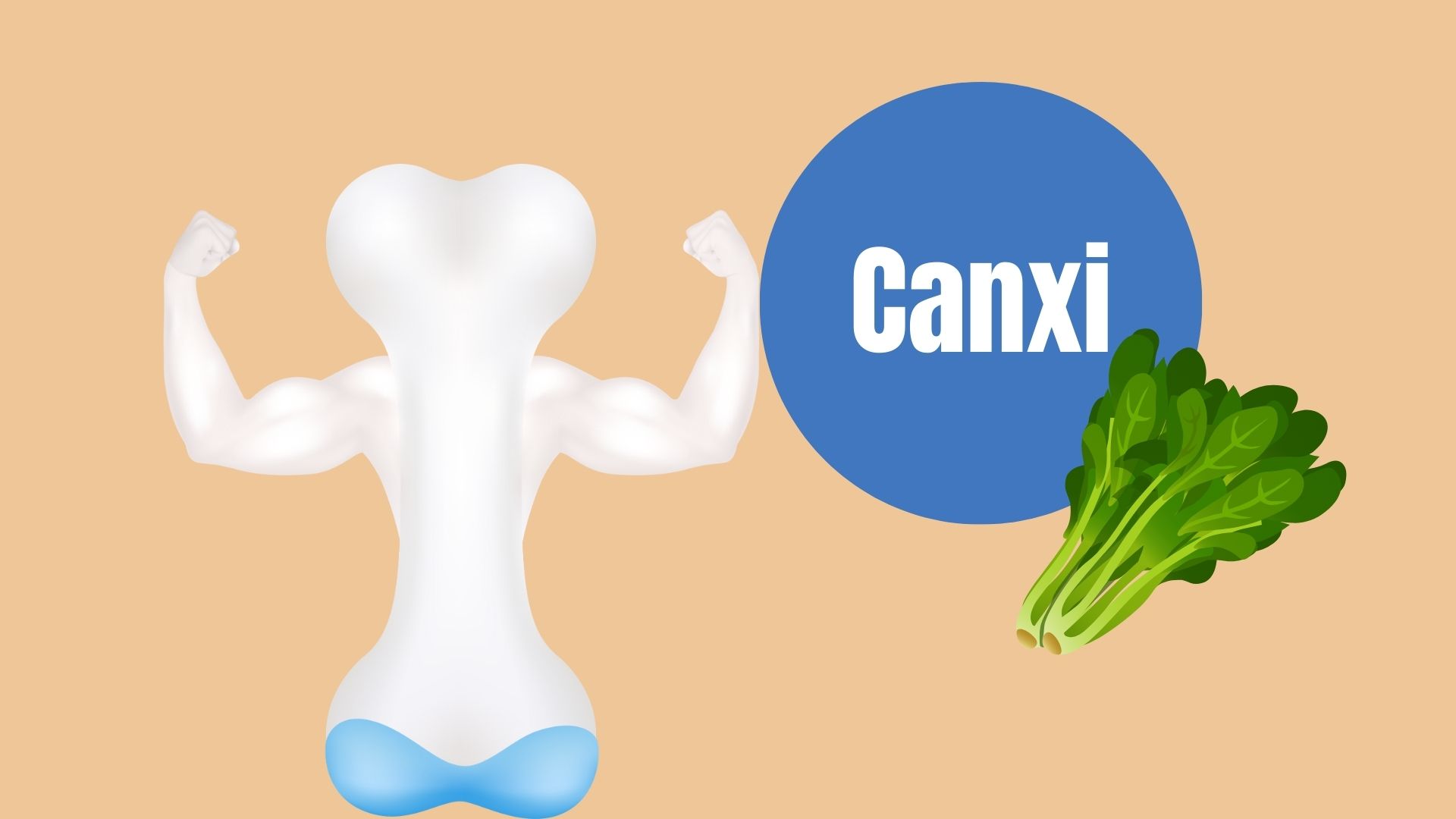 Extremadamente rico en calcio ayuda a los huesos fuertes todos los dias. Grafico: Linh Dan