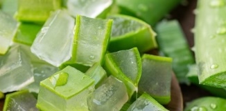 Aloe vera not only has a beautifying effect on the skin but can also support liver detoxification if processed properly. Photo: Minh Hai
