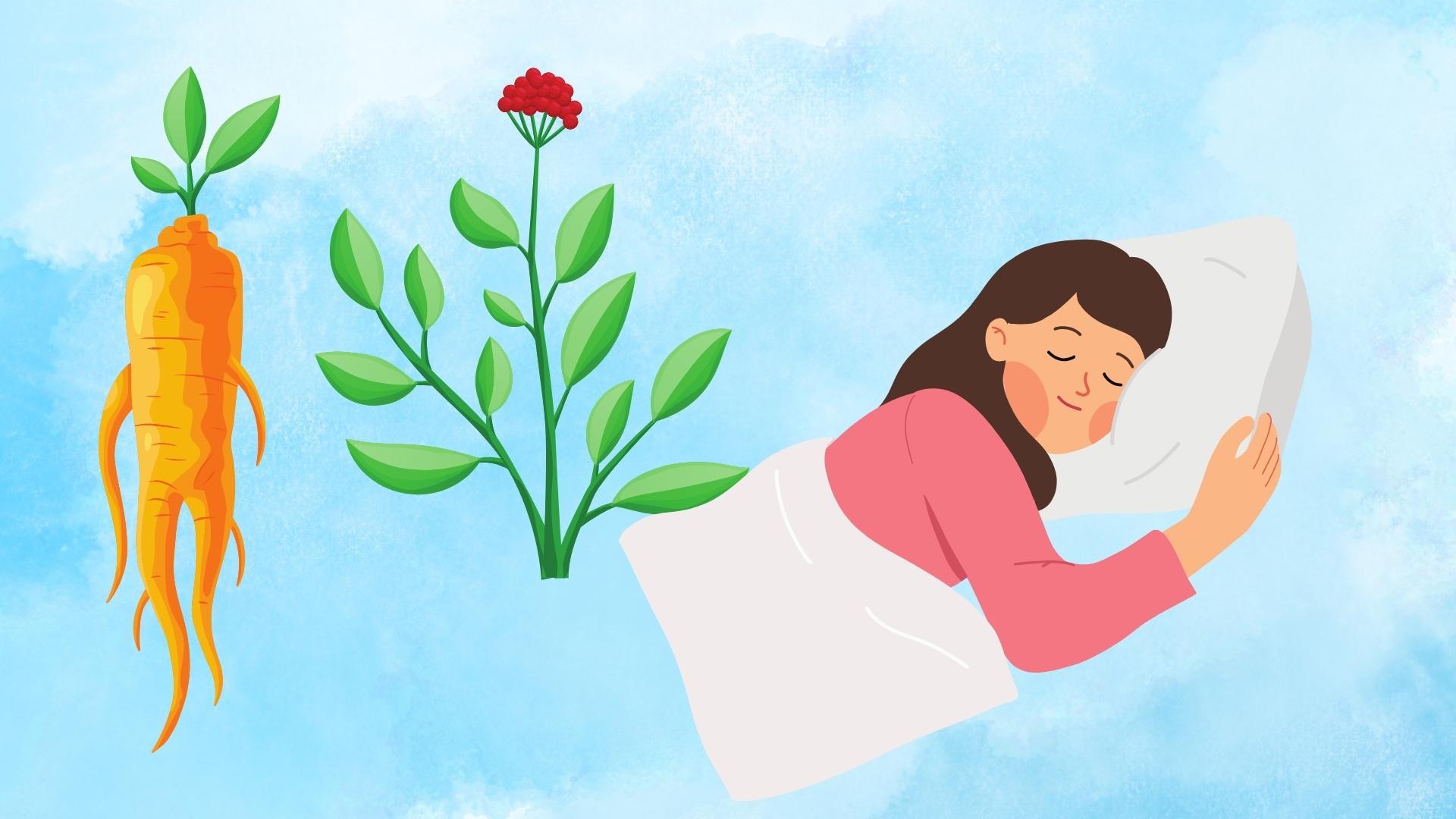 Rare herb that helps relax and sleep well