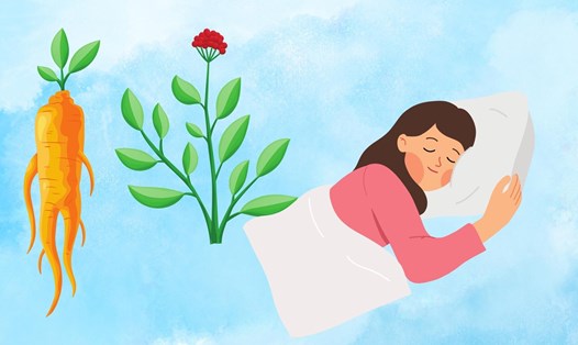 Loại thảo dược quý hiếm giúp an thần, ngủ ngon