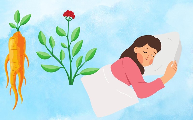 Rare herb that helps relax and sleep well