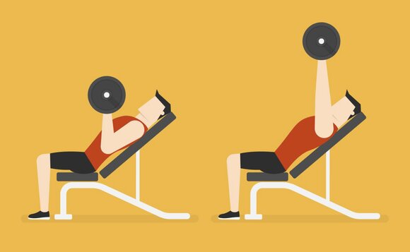 Push up the dumbbells, the exercise strengthens the upper chest. Graphics: Thuy Duong