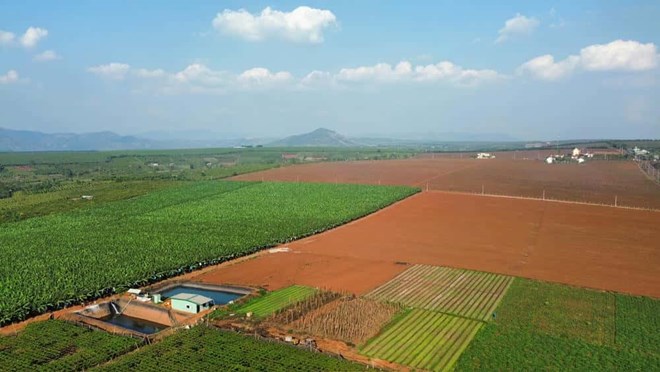 Gia Lai rà soát, thu hồi đất rừng và đất bỏ hoang sử dụng kém hiệu quả