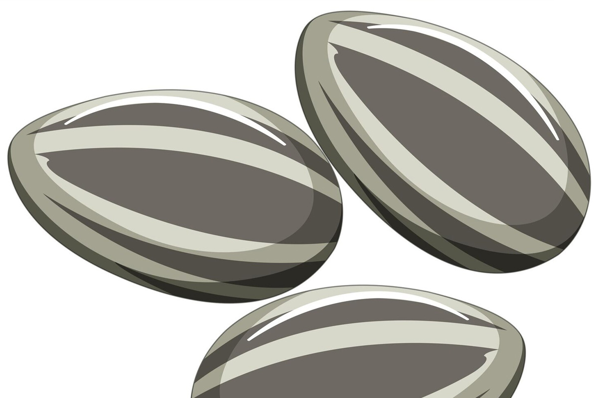 Los beneficios de las semillas de sol en la salud cardiovascular. El dibujo de la Virgen