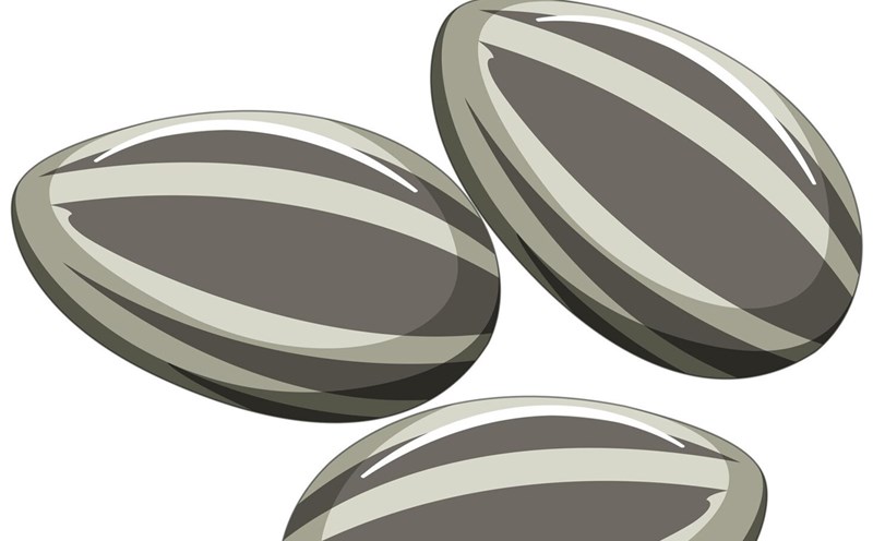 Health benefits of sunflower seeds for cardiovascular health. Graphics: Thien Nhan