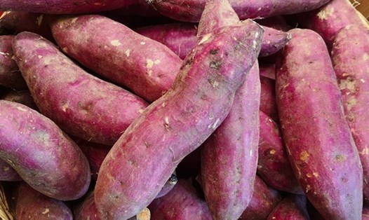 Khoai lang là thực phẩm chứa nhiều vitamin A. Ảnh: Hạ Mây