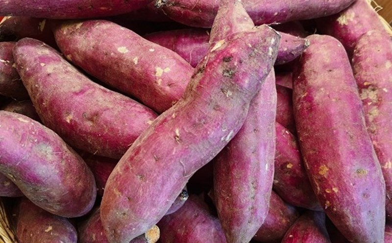 Sweet potatoes are a food rich in vitamin A. Photo: Ha May