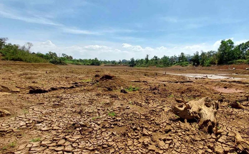 Many dams in Dak Nong have run out of water, and the drought situation is complicated. Photo: Tran Thoan