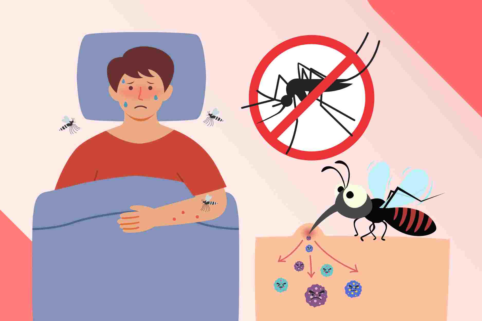 Sorpresa para el grupo de profesiones con mayor riesgo de tener fiebre hemorragica