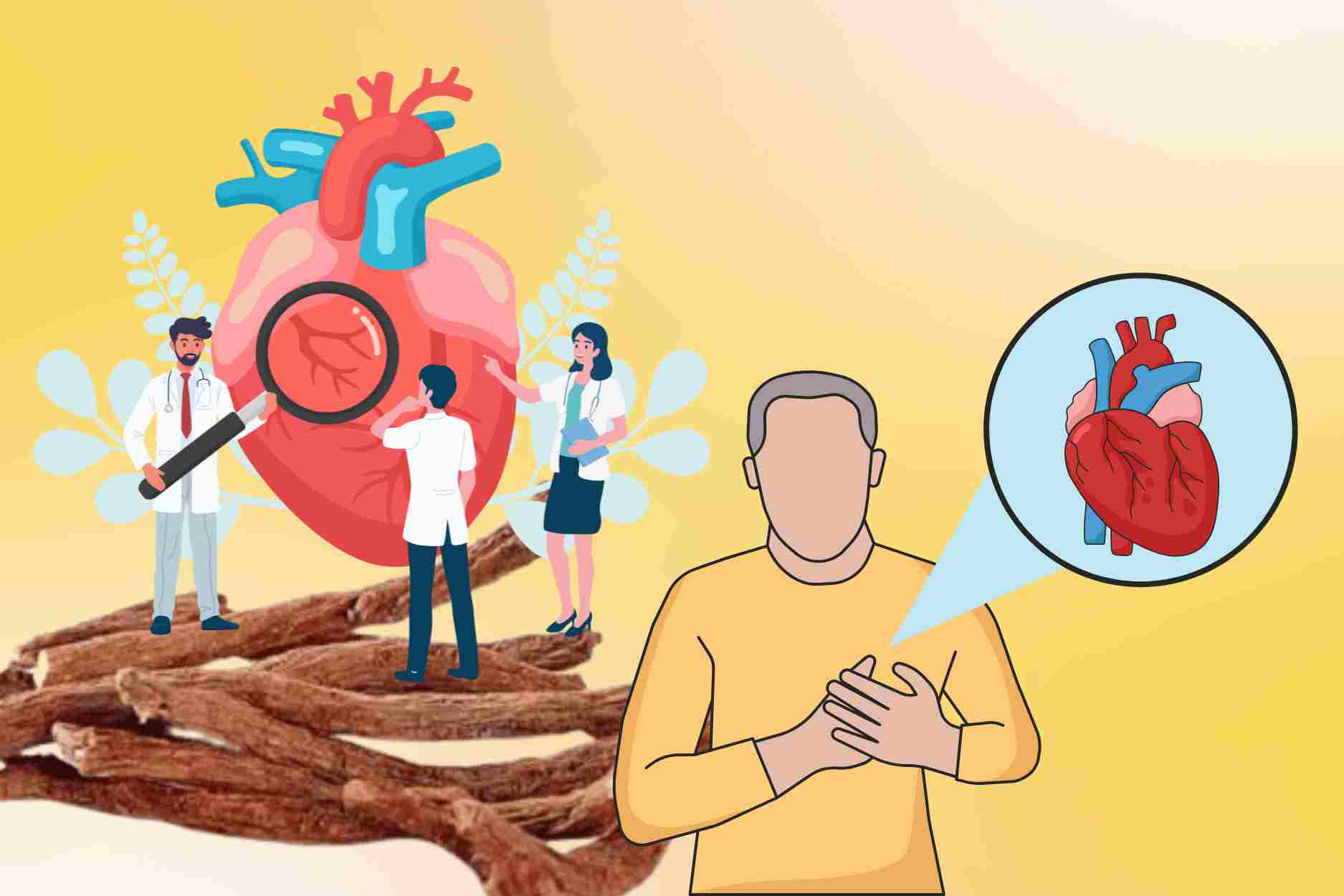 La hierba preciosa mejora la anemia del musculo cardiaco, reduce el dolor en el pecho