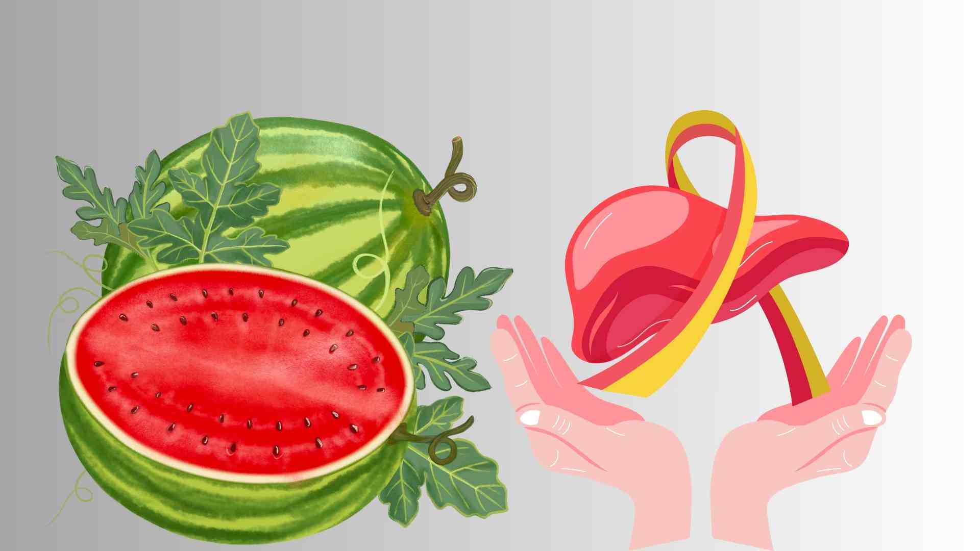 Watermelon is not only a cooling dish but also has many benefits to the liver. Graphic photo: Hoang Loc