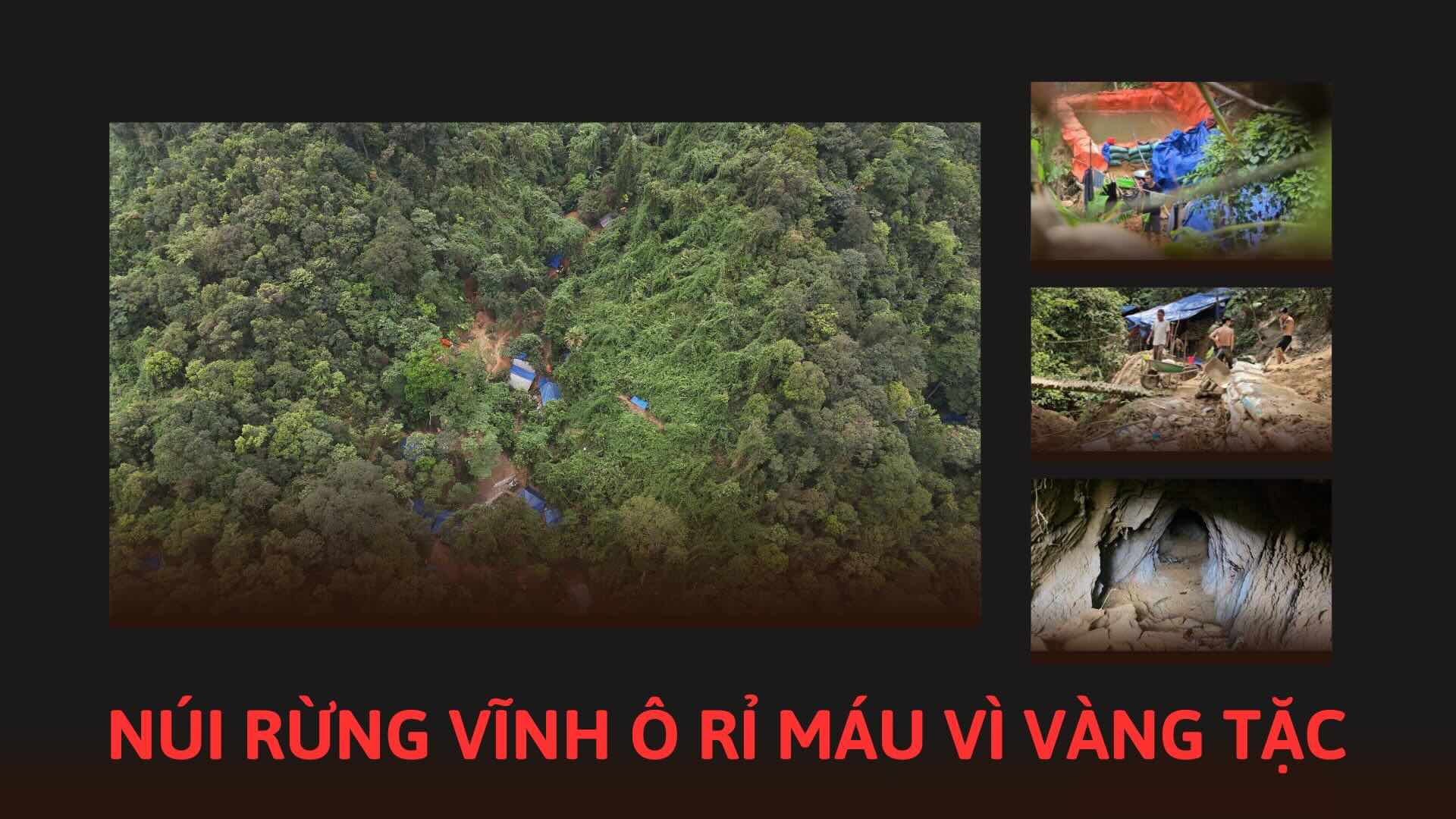 Camp of gold bandits in the forest area of ​​Vinh O commune.